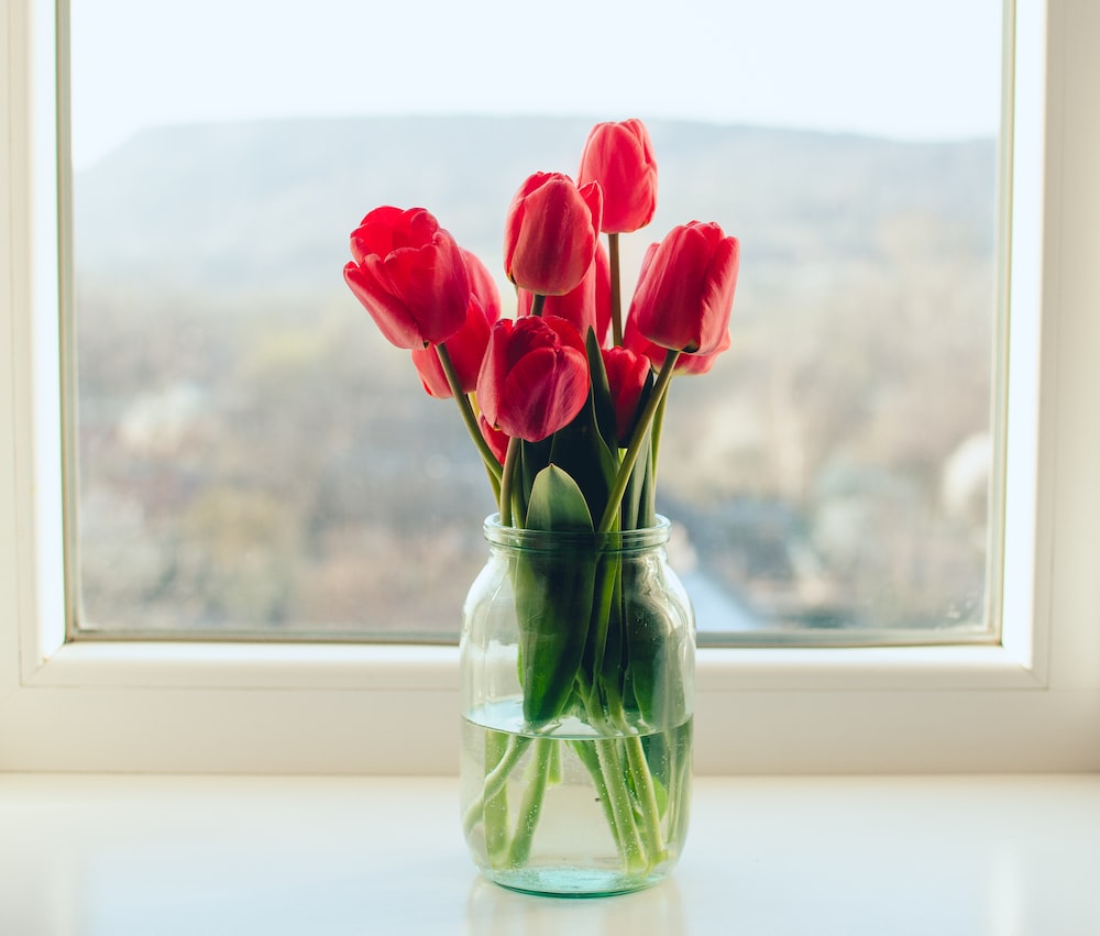 Tulip Flower Vases